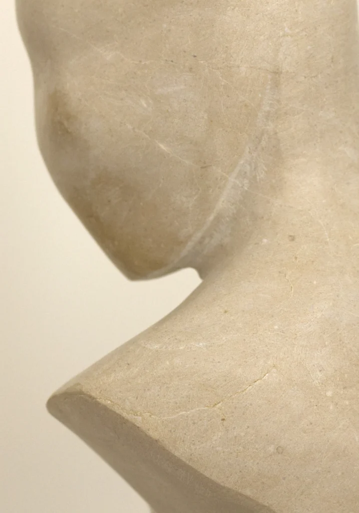VENUS — fotografía 5