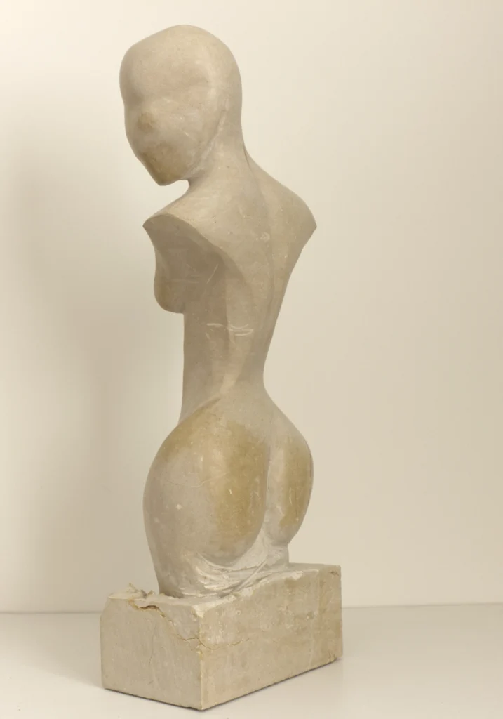 VENUS — fotografía 2