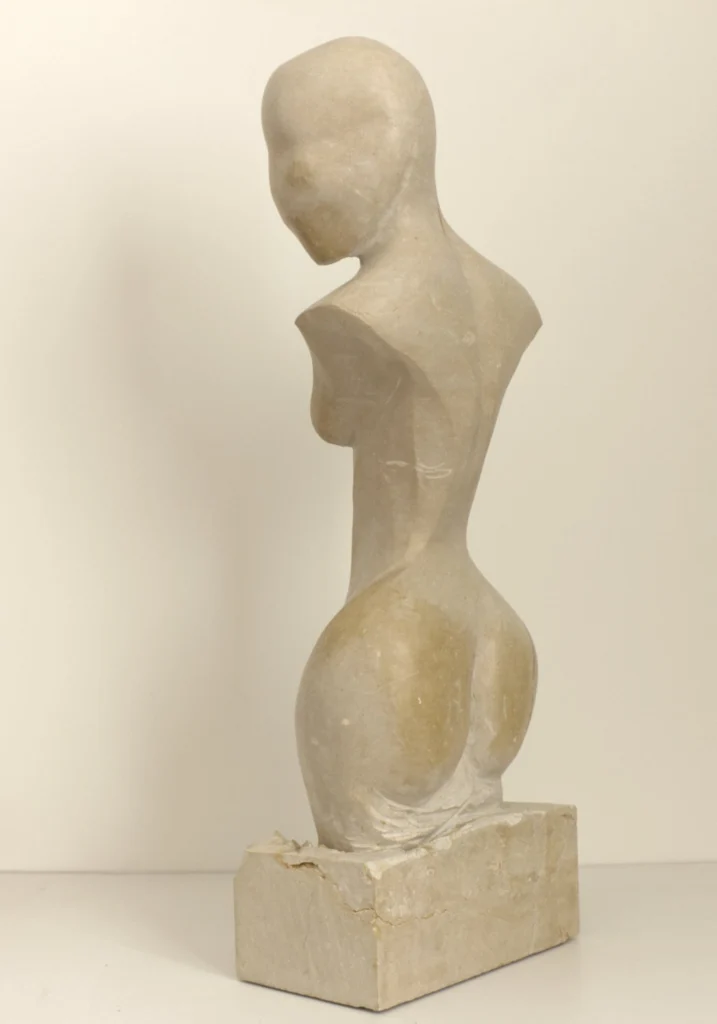 VENUS — fotografía 3