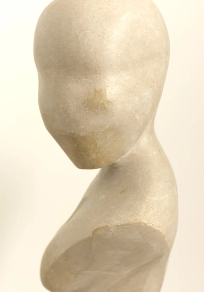 VENUS — fotografía 8