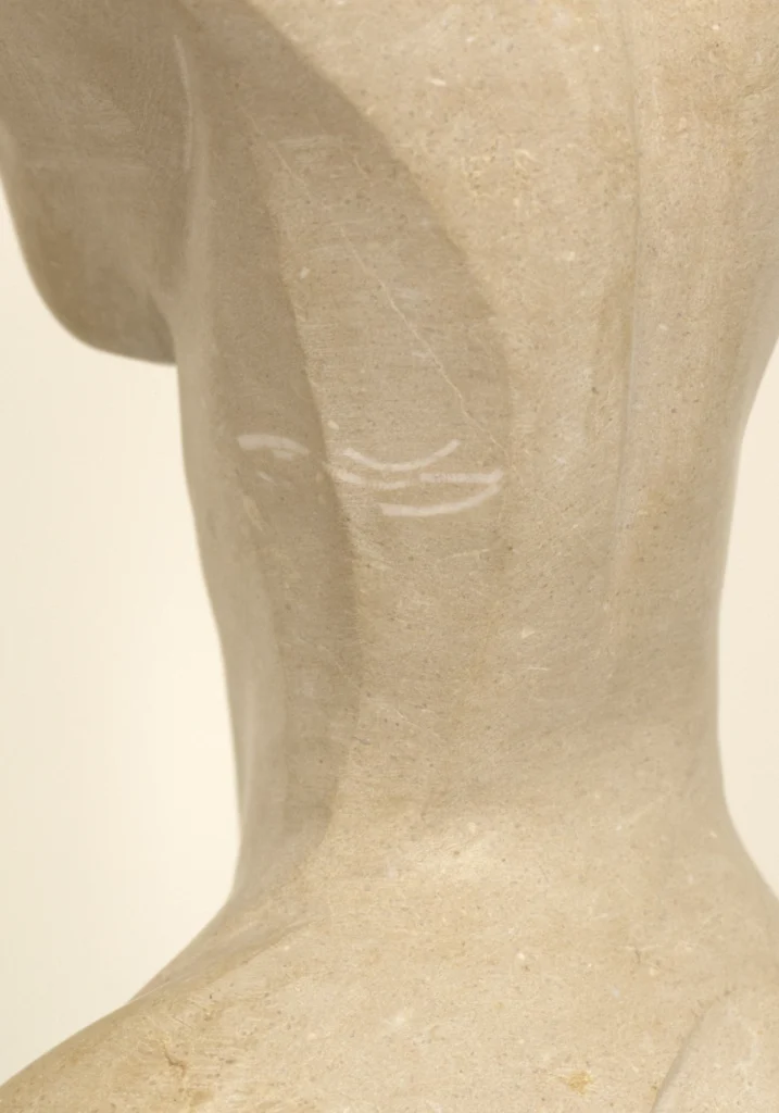 VENUS — fotografía 7